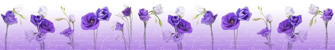 skinali 2662